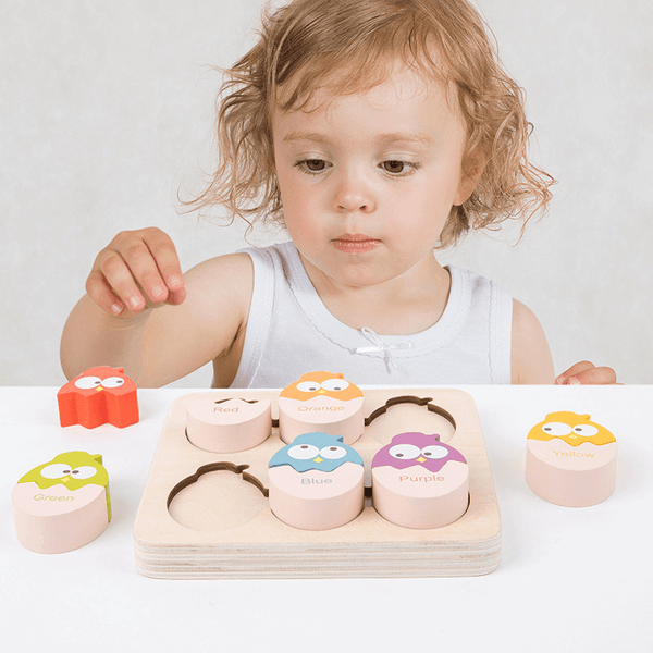 Montessori 3D Egg Shape Colour Cognitive Wooden Matching Toy