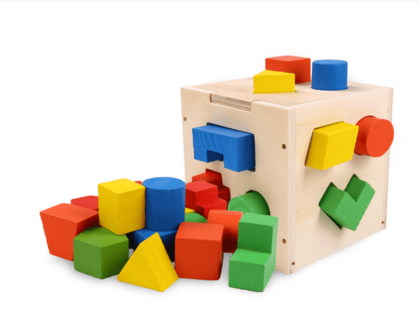 Montessori Shape Sorting Cube Classic Toy