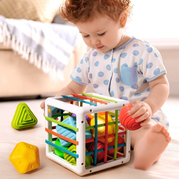Montessori Shape Blocks Toy