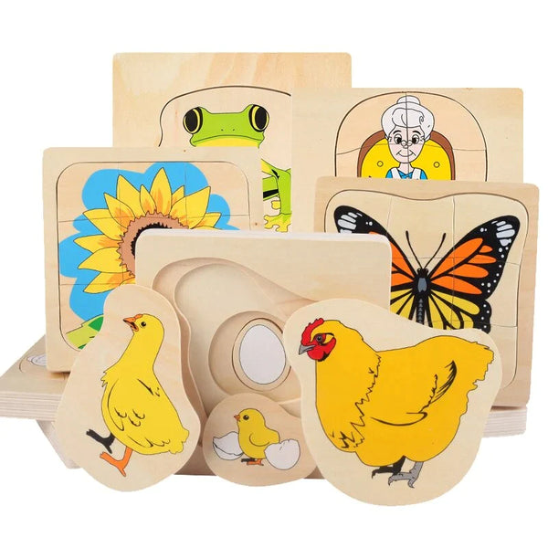 3D Plant Life Cycle Puzzle Toy